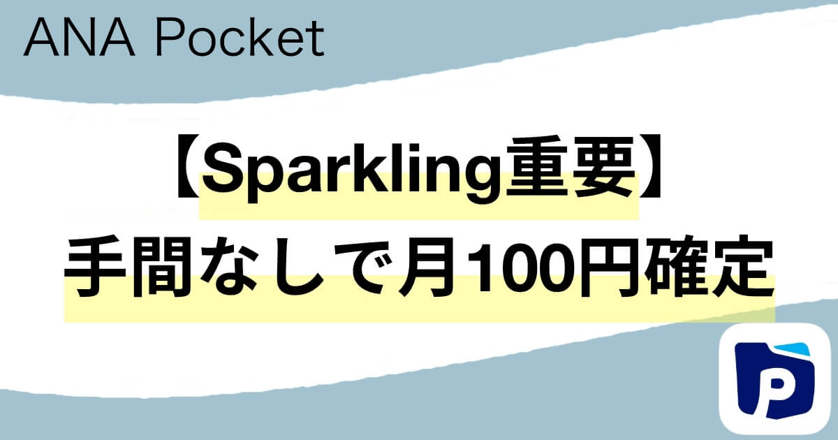ANA Pocket